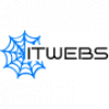 Логотип компании Digital-агентство ITWEBS Логотип компании Digital-агентство ITWEBS